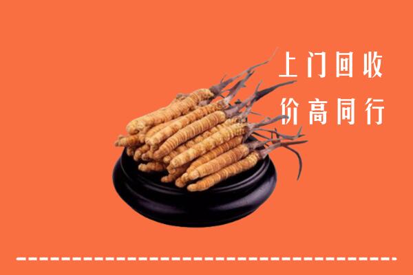 瀍河区回收冬虫夏草