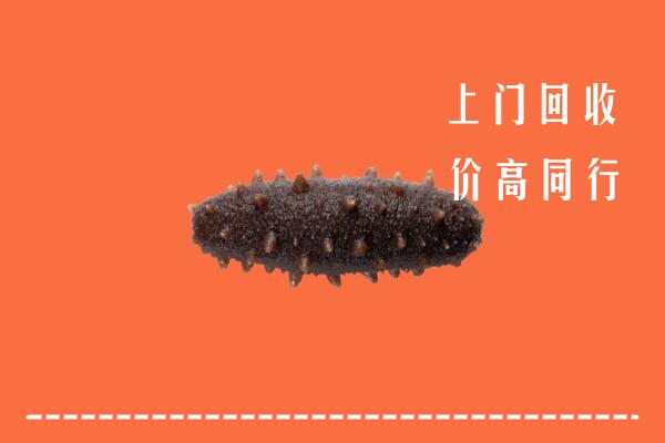 高价求购：瀍河区回收海参