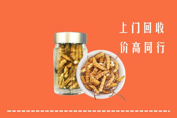 瀍河区回收冬虫夏草