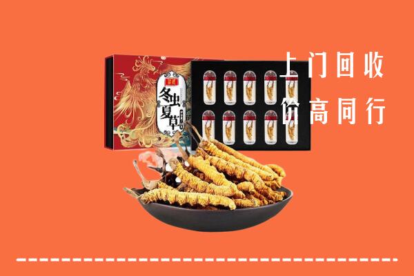 瀍河区回收虫草